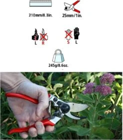 Felco 2 + GRATIS Felco Handschoenen In Cadeauverpakking -Tuingereedschaps winkel 1056x1200