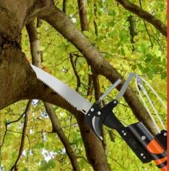 Gardebruk Takkenzaag Telescopisch - 2in1 Zaag & Snoeischaar - Oranje -Tuingereedschaps winkel 1189x1200 3