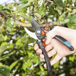 GARDENA - Comfort B/S-XL Bypass - Snoeischaar - Ø 24 Mm - 25 Jaar Garantie 20 GARDENA - Comfort B/S-XL Bypass - Snoeischaar - Ø 24 Mm - 25 Jaar Garantie -Tuingereedschaps winkel 1200x1200 129