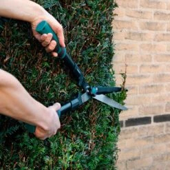 VONROC Snoeischaren Set / Snoeiset - 3-delig - Takkenschaar, Heggenschaar En Snoeischaar 15 VONROC Snoeischaren Set / Snoeiset - 3-delig - Takkenschaar, Heggenschaar En Snoeischaar -Tuingereedschaps winkel 1200x1200 150