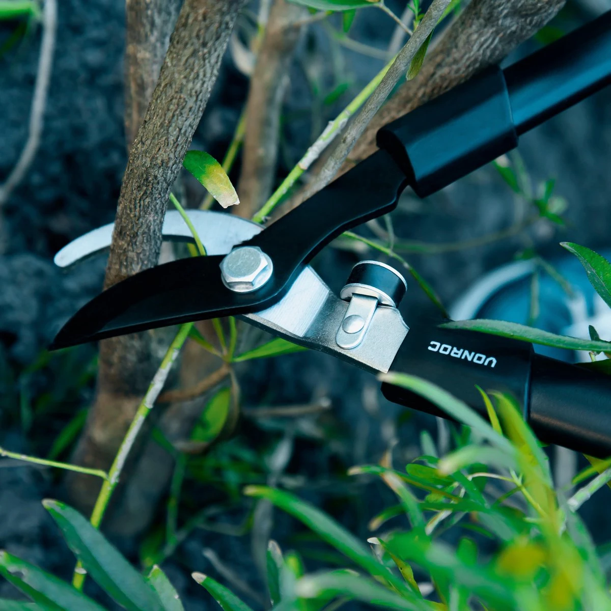 VONROC Snoeischaren Set / Snoeiset - 3-delig - Takkenschaar, Heggenschaar En Snoeischaar 11 VONROC Snoeischaren Set / Snoeiset - 3-delig - Takkenschaar, Heggenschaar En Snoeischaar - Afbeelding 9