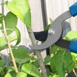 Hyundai Snoeiset 3-delig - Snoeischaar - Takkenschaar - Heggenschaar -Tuingereedschaps winkel 1200x1200 186