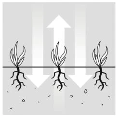GARDENA EVC 1000 Verticuteermachine - Werkbreedte 30 Cm - Werkgebied 600m2 -Tuingereedschaps winkel 1200x1200 288