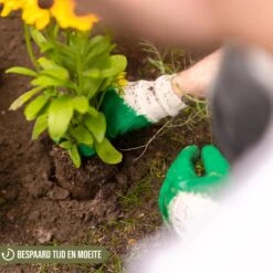 Merkloos Grondboor Voor Planten - 25 CM - Palenboor - Moestuin - Bollenplanter - Zwart 13 Merkloos Grondboor Voor Planten - 25 CM - Palenboor - Moestuin - Bollenplanter - Zwart -Tuingereedschaps winkel 1200x1200 452