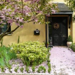 Talen Tools - Voetenveger - Dubbel - Harde Kunststof Borstels -Tuingereedschaps winkel 1200x1200 527