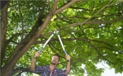 Gardena EasyCut Takkenschaar 68B + Classic Snoeischaar 8754 Display 1stuk 12003-30 -Tuingereedschaps winkel 1200x749 2