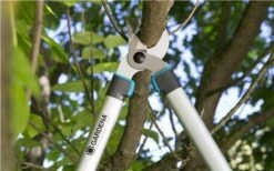 Gardena EasyCut Takkenschaar 68B + Classic Snoeischaar 8754 Display 1stuk 12003-30 -Tuingereedschaps winkel 1200x749