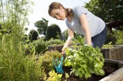 GARDENA Combisystem Tuinhak - Werkbreedte 6,5cm - 25 Jaar Garantie -Tuingereedschaps winkel 1200x799 123