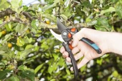 GARDENA - Comfort B/S-XL Bypass - Snoeischaar - Ø 24 Mm - 25 Jaar Garantie 24 GARDENA - Comfort B/S-XL Bypass - Snoeischaar - Ø 24 Mm - 25 Jaar Garantie -Tuingereedschaps winkel 1200x799 18