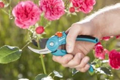 GARDENA - Classic B/S-M Bypass Snoeischaar - Ø 22mm - 25 Jaar Garantie -Tuingereedschaps winkel 1200x799 33