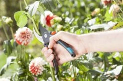 GARDENA Comfort B/M Bypass Snoeischaar - Ø 24mm - Met Sapgeul 18 GARDENA Comfort B/M Bypass Snoeischaar - Ø 24mm - Met Sapgeul -Tuingereedschaps winkel 1200x799 45