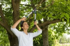 Gardena EasyCut 500 Takkenschaar -Tuingereedschaps winkel 1200x799 48