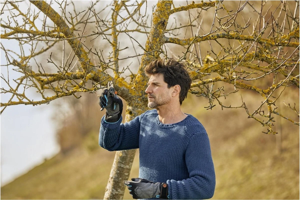 GARDENA - ExpertCut - Snoeischaar - 22 Diameter Tak 13 GARDENA - ExpertCut - Snoeischaar - 22 Diameter Tak - Afbeelding 11