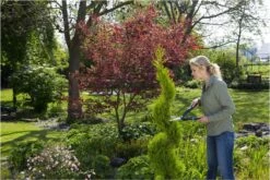 GARDENA PrecisionCut Buxusschaar - Meslengte 18 Cm - Vormsnoeien -Tuingereedschaps winkel 1200x800 108