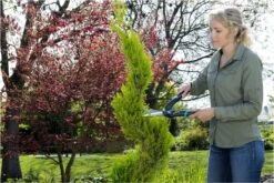 GARDENA PrecisionCut Buxusschaar - Meslengte 18 Cm - Vormsnoeien -Tuingereedschaps winkel 1200x800 109