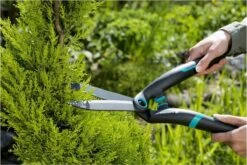 GARDENA PrecisionCut Buxusschaar - Meslengte 18 Cm - Vormsnoeien -Tuingereedschaps winkel 1200x800 110