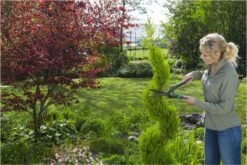 GARDENA PrecisionCut Buxusschaar - Meslengte 18 Cm - Vormsnoeien -Tuingereedschaps winkel 1200x800 112