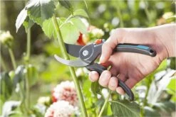 GARDENA Comfort B/M Bypass Snoeischaar - Ø 24mm - Met Sapgeul 13 GARDENA Comfort B/M Bypass Snoeischaar - Ø 24mm - Met Sapgeul -Tuingereedschaps winkel 1200x800 123