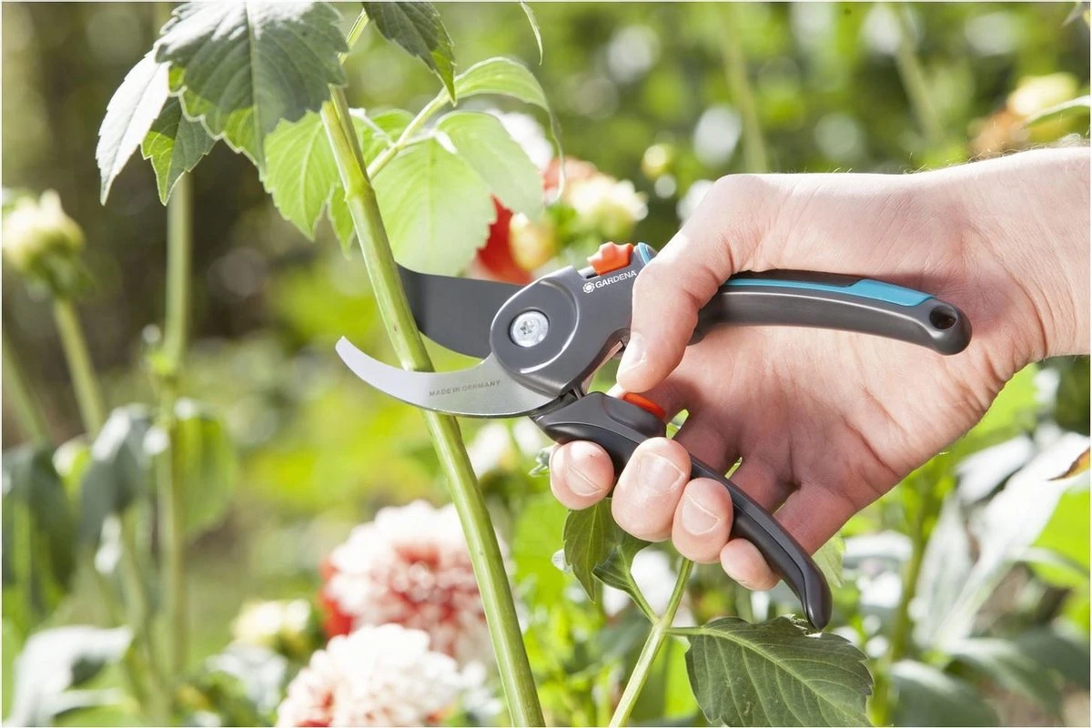 GARDENA Comfort B/M Bypass Snoeischaar - Ø 24mm - Met Sapgeul 5 GARDENA Comfort B/M Bypass Snoeischaar - Ø 24mm - Met Sapgeul - Afbeelding 3