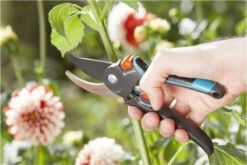 GARDENA Comfort B/M Bypass Snoeischaar - Ø 24mm - Met Sapgeul 15 GARDENA Comfort B/M Bypass Snoeischaar - Ø 24mm - Met Sapgeul -Tuingereedschaps winkel 1200x800 125