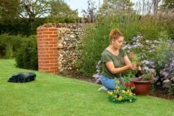 Bosch Indego S+ 500 Robotmaaier - Voor Gazons Tot 500 M2 - Incl. Laadstation En Accessoires - Connected -Tuingereedschaps winkel 1200x800 180