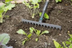 Gardena NatureLine Hark | 36 Cm | FSC 100% - 17106-20 -Tuingereedschaps winkel 1200x800 203