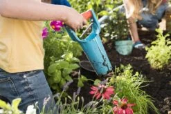 GARDENA Bollenplanter - Diepteaanduiding - Automatische Aardeloslating 14 GARDENA Bollenplanter - Diepteaanduiding - Automatische Aardeloslating -Tuingereedschaps winkel 1200x800 204