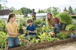 GARDENA Combisystem Bladharkje - Werkbreedte 12 Cm - 25 Jaar Garantie -Tuingereedschaps winkel 1200x800 207