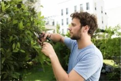 GARDENA - Comfort B/S-XL Bypass - Snoeischaar - Ø 24 Mm - 25 Jaar Garantie 28 GARDENA - Comfort B/S-XL Bypass - Snoeischaar - Ø 24 Mm - 25 Jaar Garantie -Tuingereedschaps winkel 1200x800 34