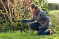 Bosch KEO 18 Accu Tuinzaagmachine - Snijdiameter Van 80 Mm - Met 18 V Accu En Lader -Tuingereedschaps winkel 1200x800 58