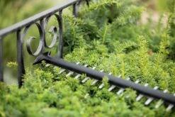 Bosch UniversalHedgeCut 18-55 Heggenschaar - Zonder 18V Accu En Oplader -Tuingereedschaps winkel 1200x800 79