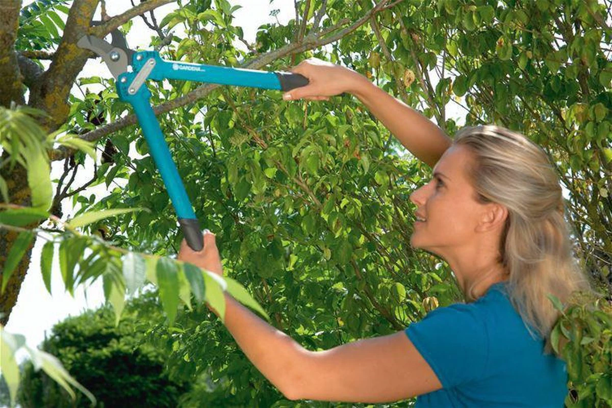 GARDENA Comfort 500 BL Takkenschaar - Max Knipdiameter 35 Mm 9 GARDENA Comfort 500 BL Takkenschaar - Max Knipdiameter 35 Mm - Afbeelding 7