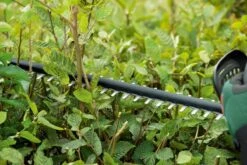 Bosch UniversalHedgeCut 18-50 Heggenschaar - Met 18 V Accu En Lader -Tuingereedschaps winkel 1200x800 98