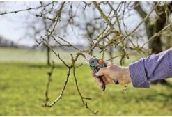 GARDENA - ExpertCut - Snoeischaar - 22 Diameter Tak 34 GARDENA - ExpertCut - Snoeischaar - 22 Diameter Tak -Tuingereedschaps winkel 1200x815