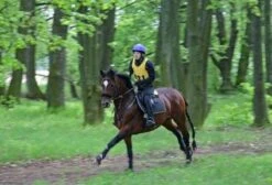 Aqua2Go GD86 Staand Electrische Pressure Washer - 20 Liter Tank - Afneembare Pomp -Tuingereedschaps winkel 1200x817 6