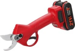 Elektrische Snoeischaar - Accu Snoeischaar - 2 Accu's - Professioneel - Tuinschaar -Tuingereedschaps winkel 1200x819