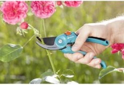 GARDENA - Classic B/S-M Bypass Snoeischaar - Ø 22mm - 25 Jaar Garantie -Tuingereedschaps winkel 1200x820