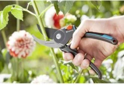 GARDENA Comfort B/M Bypass Snoeischaar - Ø 24mm - Met Sapgeul 16 GARDENA Comfort B/M Bypass Snoeischaar - Ø 24mm - Met Sapgeul -Tuingereedschaps winkel 1200x822