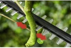 Bosch UniversalHedgePole 18 Heggenschaar Op Steel - Met 18 V Accu En Lader -Tuingereedschaps winkel 1200x823