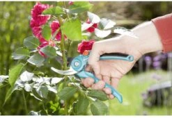 GARDENA 08853-20 Gardena Tuinschaar 12 GARDENA 08853-20 Gardena Tuinschaar -Tuingereedschaps winkel 1200x825 10