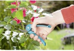 GARDENA - Classic B/S-M Bypass Snoeischaar - Ø 22mm - 25 Jaar Garantie -Tuingereedschaps winkel 1200x825 12