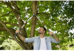 Gardena TeleCut Takkenschaar 650-900 B - Uitschuifbare Armen - Tot Max 90 Cm 20 Gardena TeleCut Takkenschaar 650-900 B - Uitschuifbare Armen - Tot Max 90 Cm -Tuingereedschaps winkel 1200x826 2