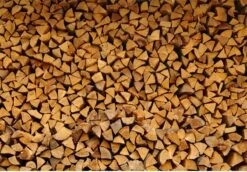 Steko Houtsplijter Voor Grote Blokken - Voor Aanmaakhout & Brandhout - Houtklover - Houtkliever - Splijtwig - Handmatig - Overal Te Gebruiken 1605 Gram - Metaal - Kloofwig - HOGE VOLUMEKORTING 10 Steko Houtsplijter Voor Grote Blokken - Voor Aanmaakhout & Brandhout - Houtklover - Houtkliever - Splijtwig - Handmatig - Overal Te Gebruiken 1605 Gram - Metaal - Kloofwig - HOGE VOLUMEKORTING -Tuingereedschaps winkel 1200x837 2