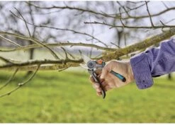 GARDENA - ExpertCut - Snoeischaar - 22 Diameter Tak 33 GARDENA - ExpertCut - Snoeischaar - 22 Diameter Tak -Tuingereedschaps winkel 1200x859