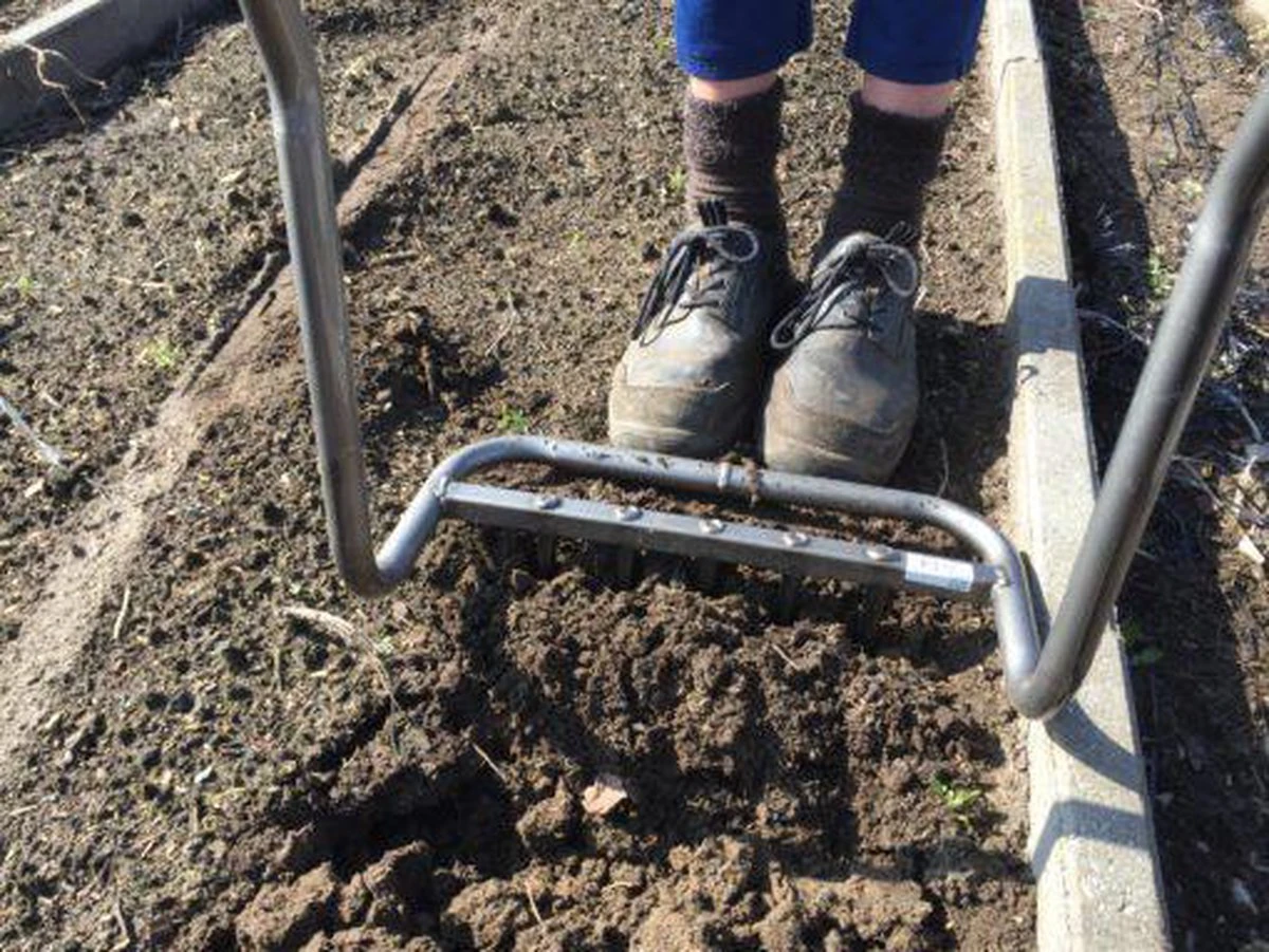 Ergo Woelvork 5 Tanden Depypere 4 Ergo Woelvork 5 Tanden Depypere - Afbeelding 2