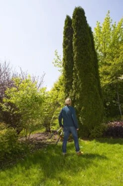 GARDENA TeleCut Heggenschaar - Telescopische Handgrepen Van 70-90 Cm 18 GARDENA TeleCut Heggenschaar - Telescopische Handgrepen Van 70-90 Cm -Tuingereedschaps winkel 799x1200 26