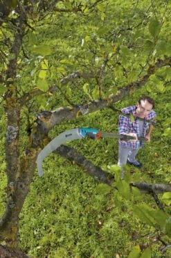 GARDENA Combisysteem Snoeizaag 300PP Curved Takkenzaag - Meslengte 315 Mm - Exclusief Verlengstok -Tuingereedschaps winkel 799x1200 53