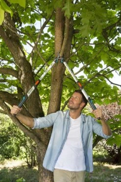 Gardena TeleCut Takkenschaar 650-900 B - Uitschuifbare Armen - Tot Max 90 Cm 18 Gardena TeleCut Takkenschaar 650-900 B - Uitschuifbare Armen - Tot Max 90 Cm -Tuingereedschaps winkel 800x1200 12