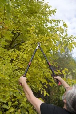 Kreator KRTGR4003 Telescopische Takkenschaar – Jong Hout - Knipdiameter: Ø34 Mm -Tuingereedschaps winkel 800x1200 17