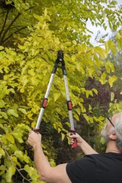 Kreator KRTGR4013 Telescopische Takkenschaar - 63-89 Cm Totale Lengte - . Ø39 Mm Knipdiameter 9 Kreator KRTGR4013 Telescopische Takkenschaar - 63-89 Cm Totale Lengte - . Ø39 Mm Knipdiameter -Tuingereedschaps winkel 800x1200 18